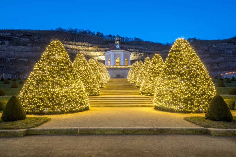 Auf Schloss Wackerbarth funkelt's schon weihnachtlich.