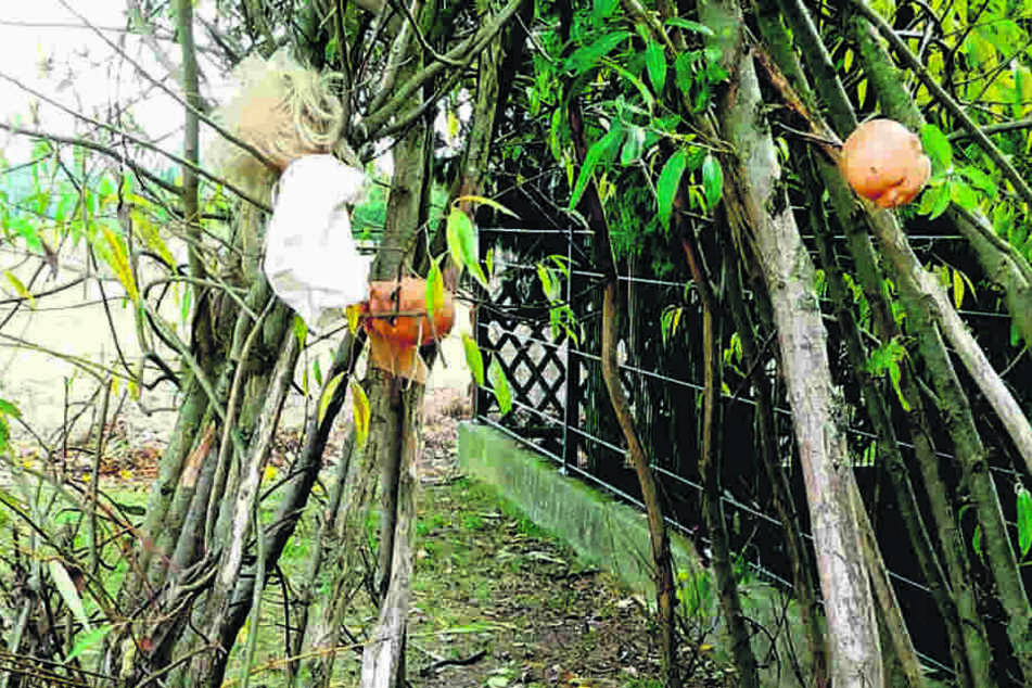 Wer hat den Spielplatz des Kindergartens zum Horror-Kabinett gemacht?