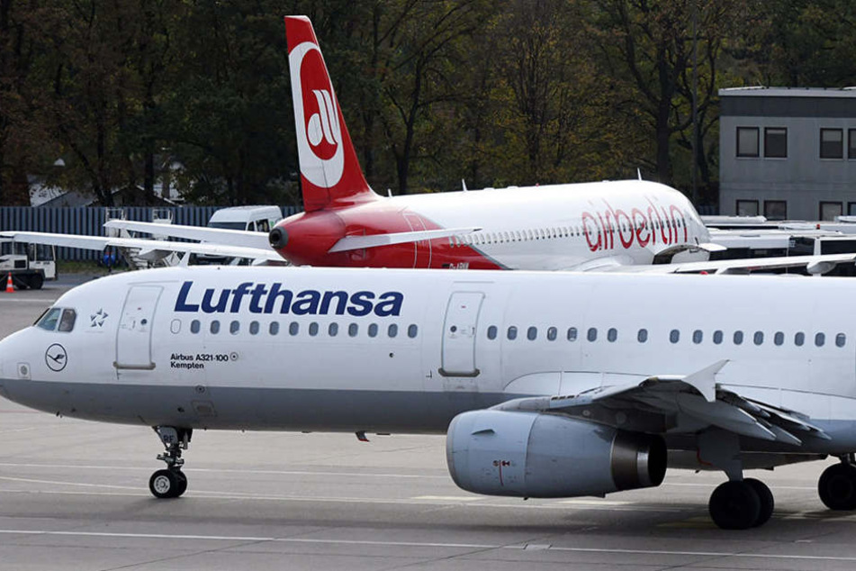 Lufthansa hat den Großteil der insolventen Airline aufgekauft. Viele Air-Berlin-Mitarbeiter werden dort arbeiten können.