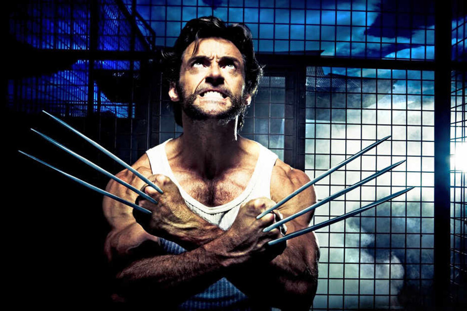 Hugh Jackman in der Rolle, die ihn zum Superstar machte: Wolverine - der Mann mit den unverkennbaren Stahlklingen, bemerkenswerten Selbstheilungskräften, ruppigem Charme und einer Portion trockenem Humor.