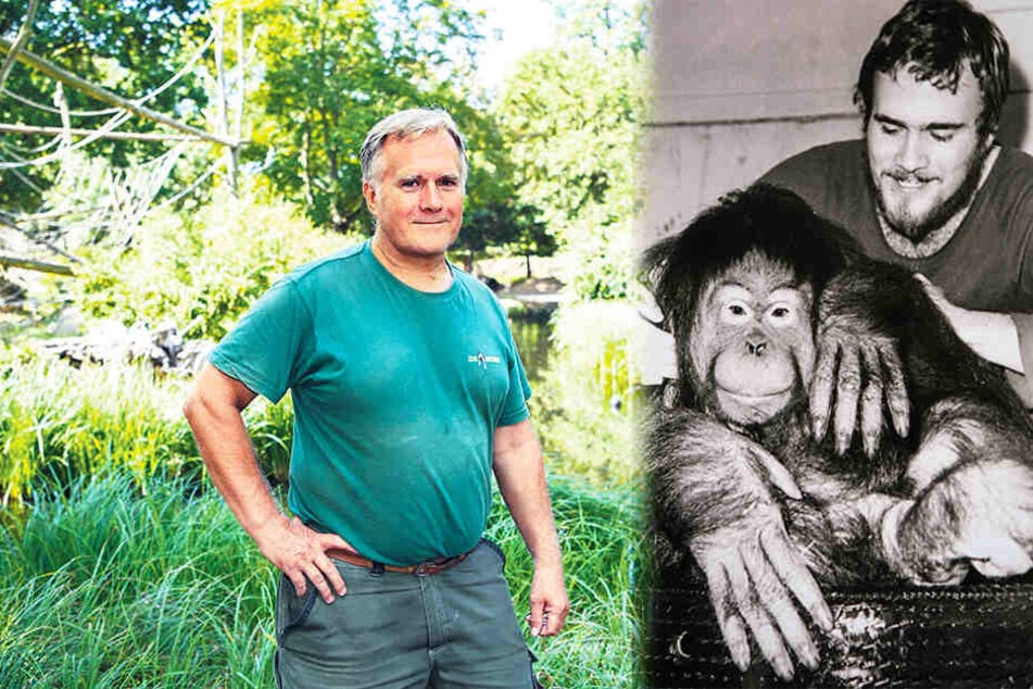 Kümmert sich seit 1972 um "seine" Djaka: Revierleiter Gerd Grätz (63). Beide zusammen im Jahr 1982 (r.). (Bildmontage)