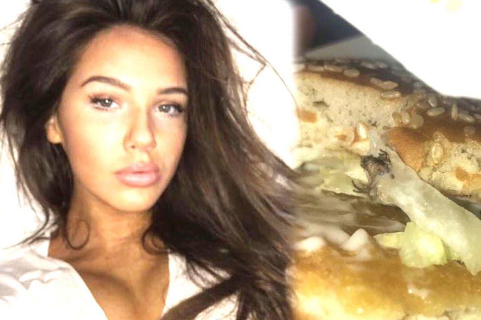 Eine Spinne klebte am McChicken-Burger fest