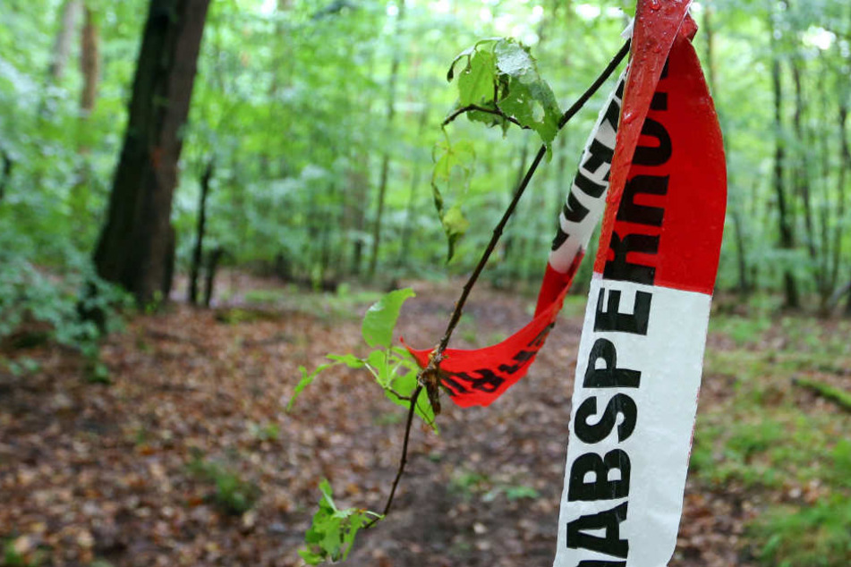 Der entführte Markus Würth wurde in einem Wald bei Würzburg an einen Baum gefesselt wiedergefunden.