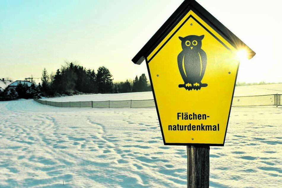 Der als Flächennaturdenkmal geschützte Boden liegt „Am Goldenen Stiefel“ in Torna.