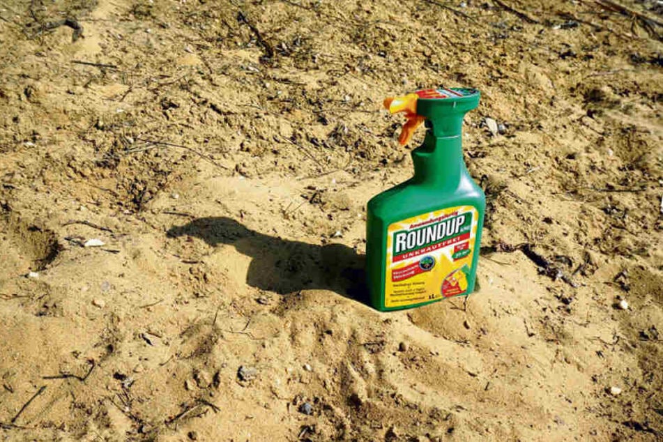 Glyphosat, unter dem Markennamen Roundup vom Chemie-Riesen Monsanto in den 1970ern auf dem Markt gebracht, ist höchst umstritten.
