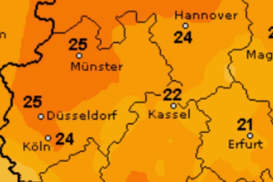 Bis zu 25 Grad erwarten uns am Wochenende.