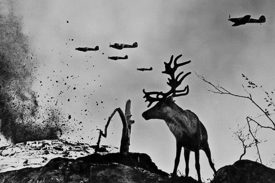 "The Painted Bird" liefert dem Trailer und Kritikern nach zu urteilen grandiose cineastische Bilder ab.