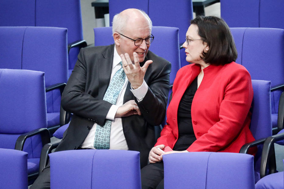 Andrea Nahles (SPD) und Volker Kauder (CDU) werden künftig dank GroKo enger zusammenarbeiten.