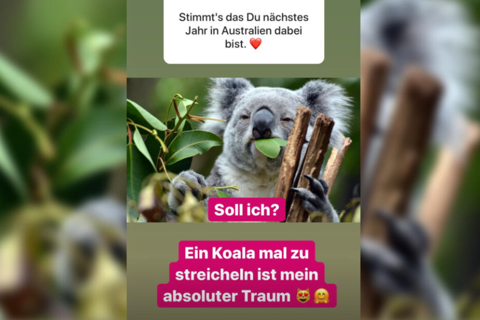 Dieser Screenshot zeigt eine Instagram-Story von Anastasiya Avilova.