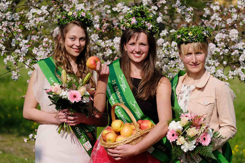 Vertreten nun ein Jahr lang den Obstbau Sachsens und Sachsen-Anhalts (v. l. n. r.): Prinzessin Sarah, Laura I. und Prinzessin Anna.