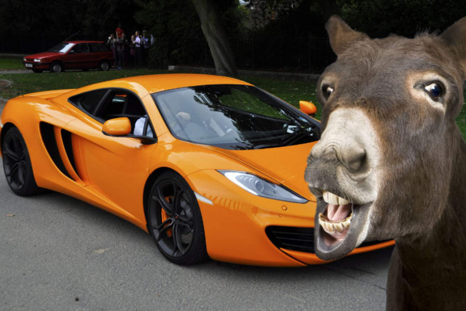 Esel Titus kam, sah und siegte. Sein Opfer: ein orangefarbener McLaren. (Symbolbild)