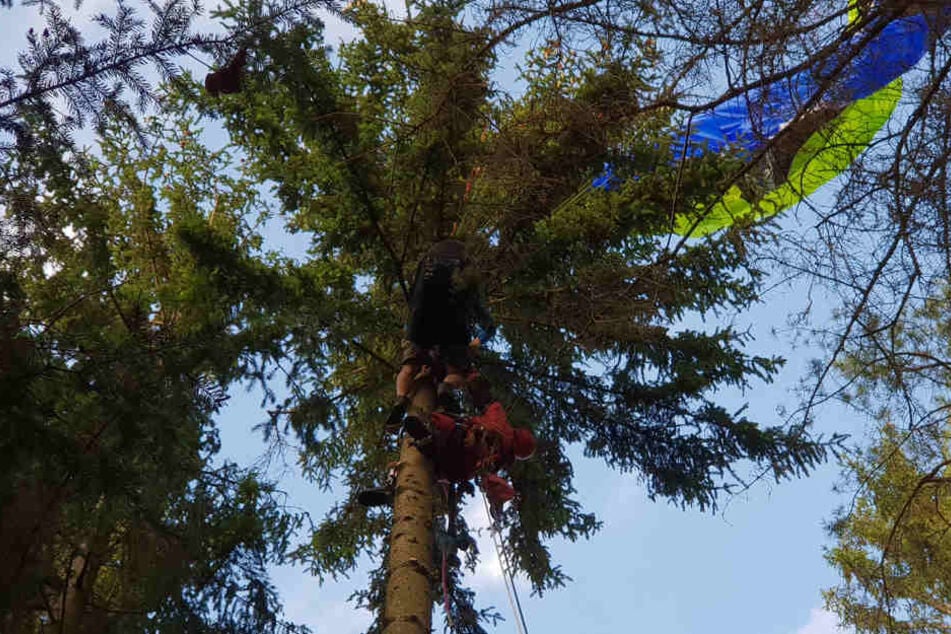In 17 Metern Höhe hing der Gleitschirmflieger im Baum fest.