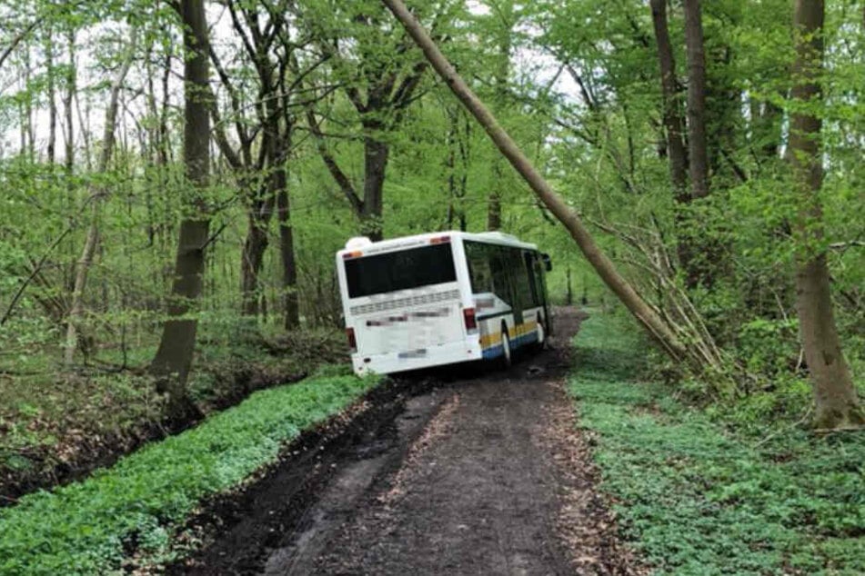 Der Bus hatte sich auf dem Waldboden festgefahren.