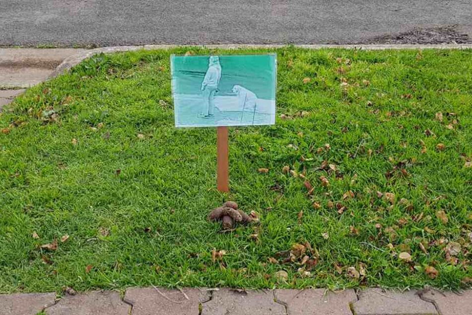 Dieses Schild stellte Steve Tamblyn vor seinem Grundstück auf.