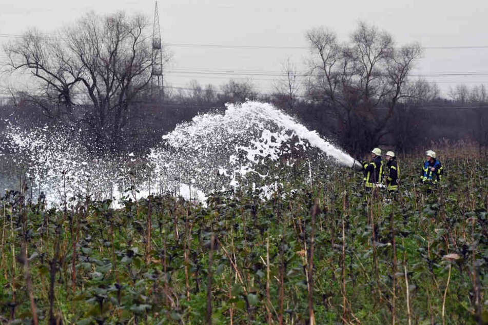 Die Feuerwehr-Leute bei ihren Löscharbeiten.