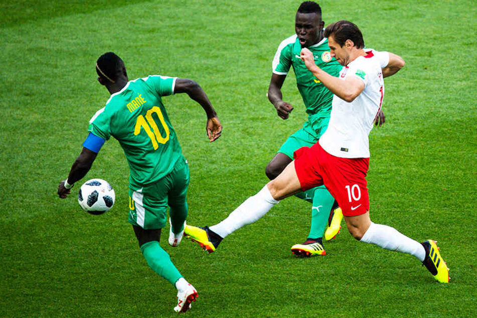 Polens Grzegorz Krychowiak kämpft mit Senegals Kapitän Sadio Mane (l.) und dem früheren Hannover-96-Stürmer Mame Biram Diouf (hinten) um den Ball.