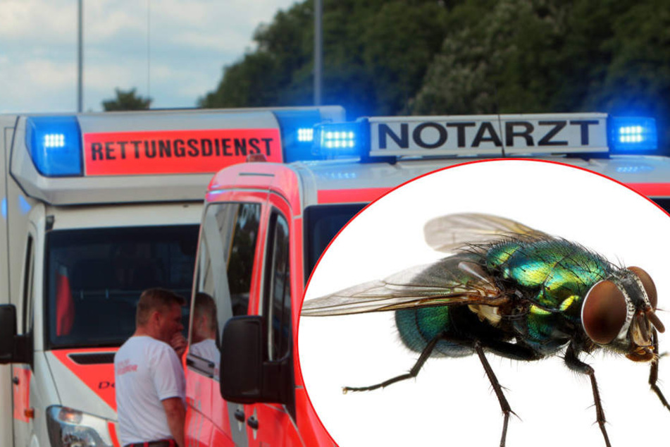 Rettungswagen brachten die beiden Verletzten in Krankenhäuser. (Symbolbild)
