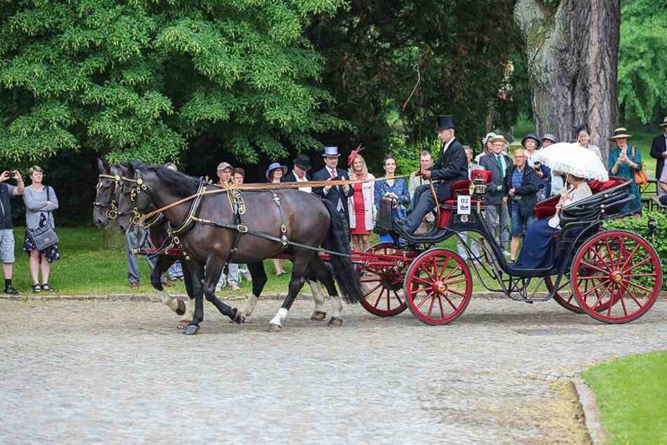 Selbst fein herausgeputzt, applaudierte das Publikum den edlen Gespannen am Start der Ausfahrt auf Schloss Proschwitz.