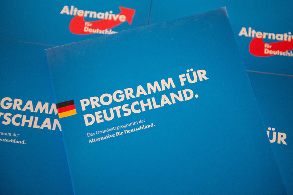 Das Grundsatzprogramm der AfD: Alternativ ist der digitale Verkaufsschlager der Partei allemal, dennoch bleibt der Weg fragwürdig.