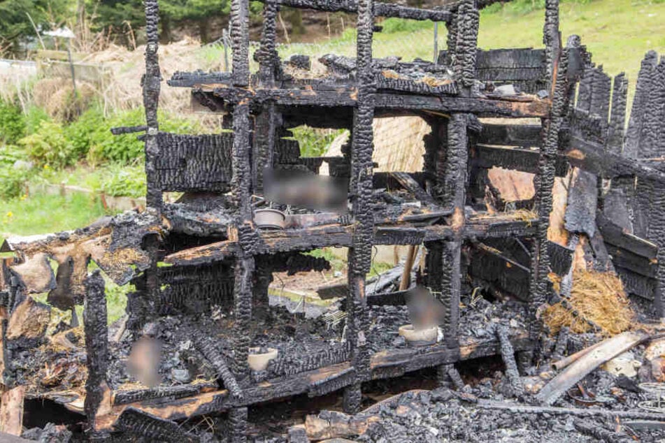 25 Hasen starben bei dem verheerenden Brand.