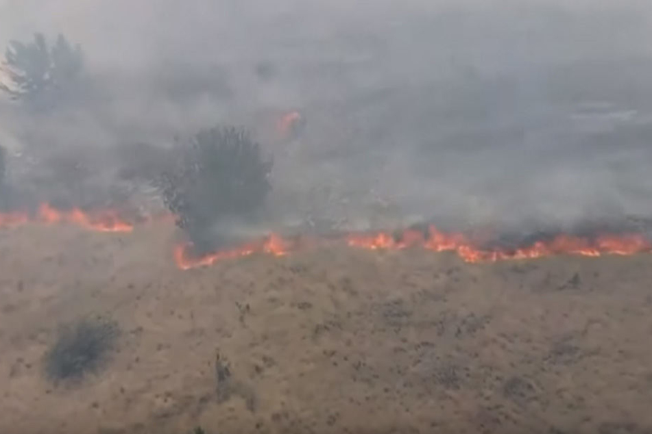 Das Feuer breitete sich schnell aus.