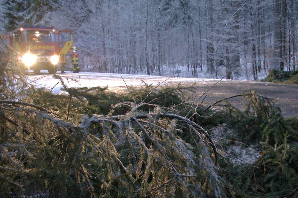 Ein Wintergewitter knickte am Dienstag im Bereich Bärenstein schon zahlreiche Bäume um.