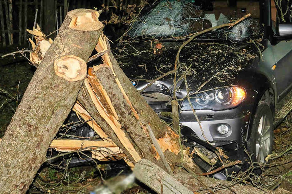 Der Fahrer musste aus dem Auto befreit werden und wurde ins Krankenhaus gebracht,