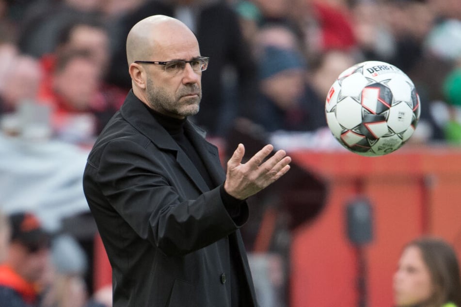 Peter Bosz (Bild) ist seit dem 4. Januar Cheftrainer bei Bayer 04 Leverkusen und wird von Julian Nagelsmann sehr geschätzt.