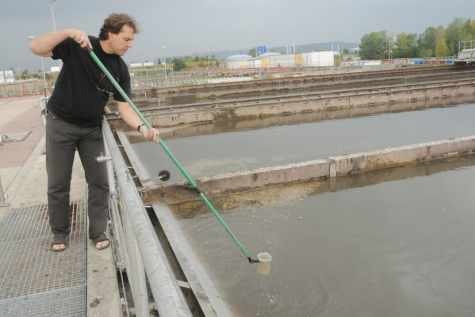 Torsten Fiedler (51) von der Stadtentwässerung nimmt an einem Außenbecken
eine Wasserprobe.