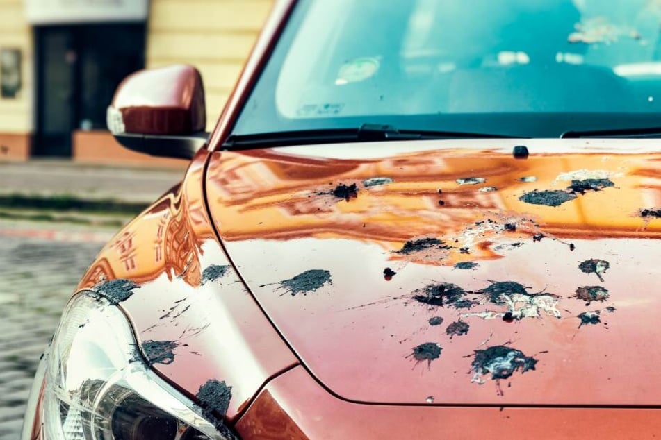 Die Farbe stellte sich letzten Endes als Vogelkot heraus. (Symbolbild)
