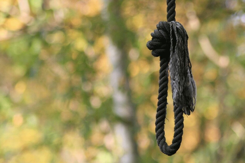 Mit einem Seil fesselten die Täter ihr Opfer an einem Baum (Symbolbild).