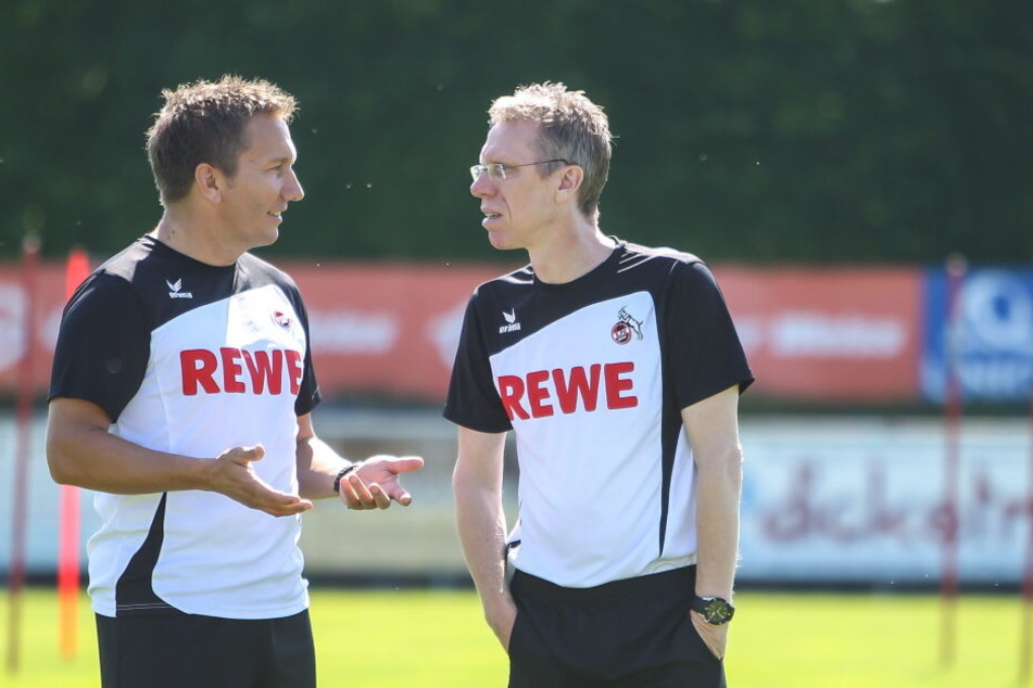Manfred Schmid war von 2013 bis 2017 als Co-Trainer von Peter Stöger für den Fc aktiv.