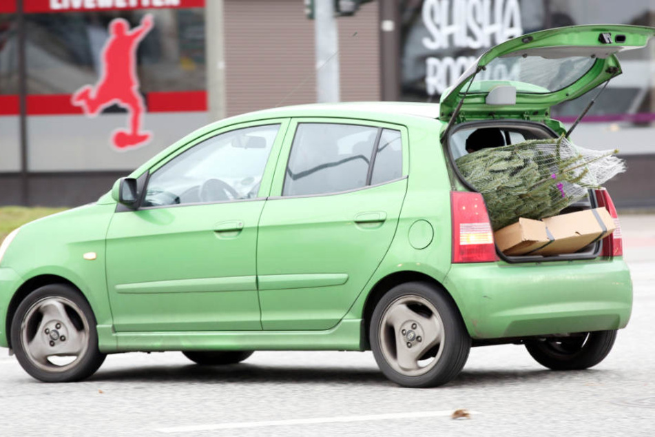 Der 19-Jährige transportierte den Baum in seinem Auto. (Symbolbild)