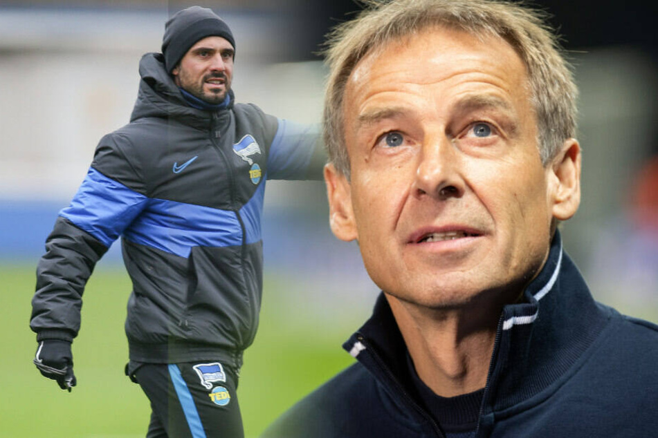 Alexander Nouri wird die nächsten Wochen der Nachfolger von Jürgen Klinsmann.