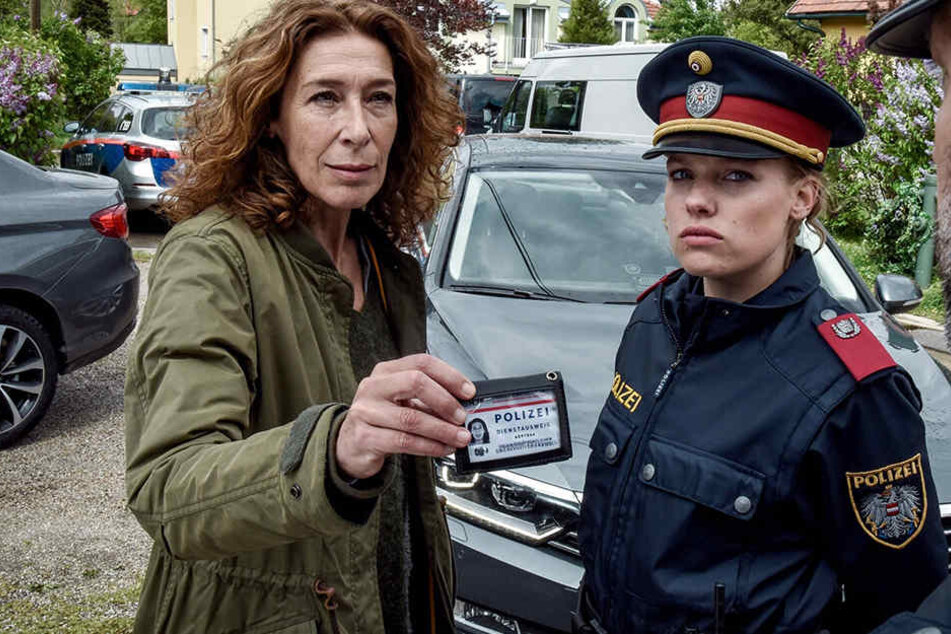 Findet Bibi Fellner heraus, was Ausbilder
Nowak mit seiner Polizeischülerin verbindet?