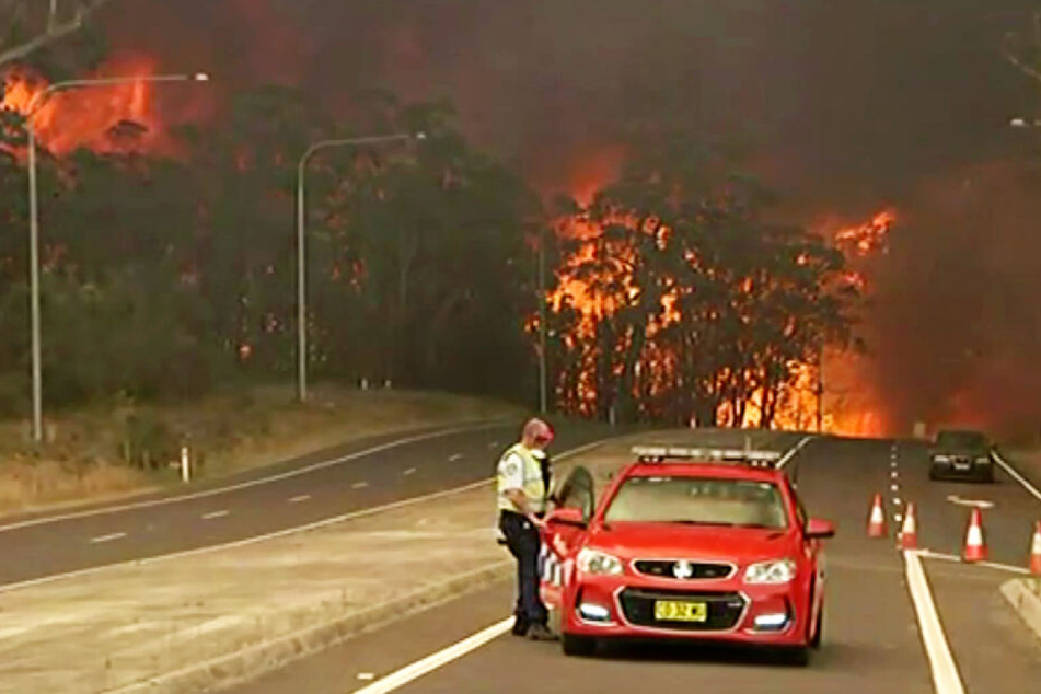 Ein Beamter sperrt den Princes Highway im Bundesstaat New South Wales auf Grund der nahenden Buschfeuer ab.