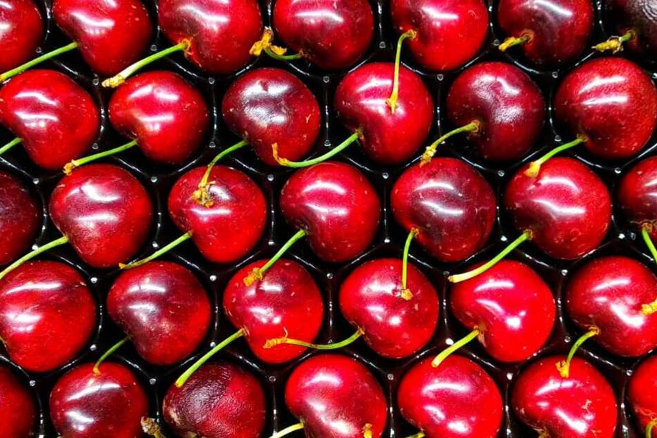 Kirschen belegen Platz 8 der beliebtesten Obstsorten der Deutschen