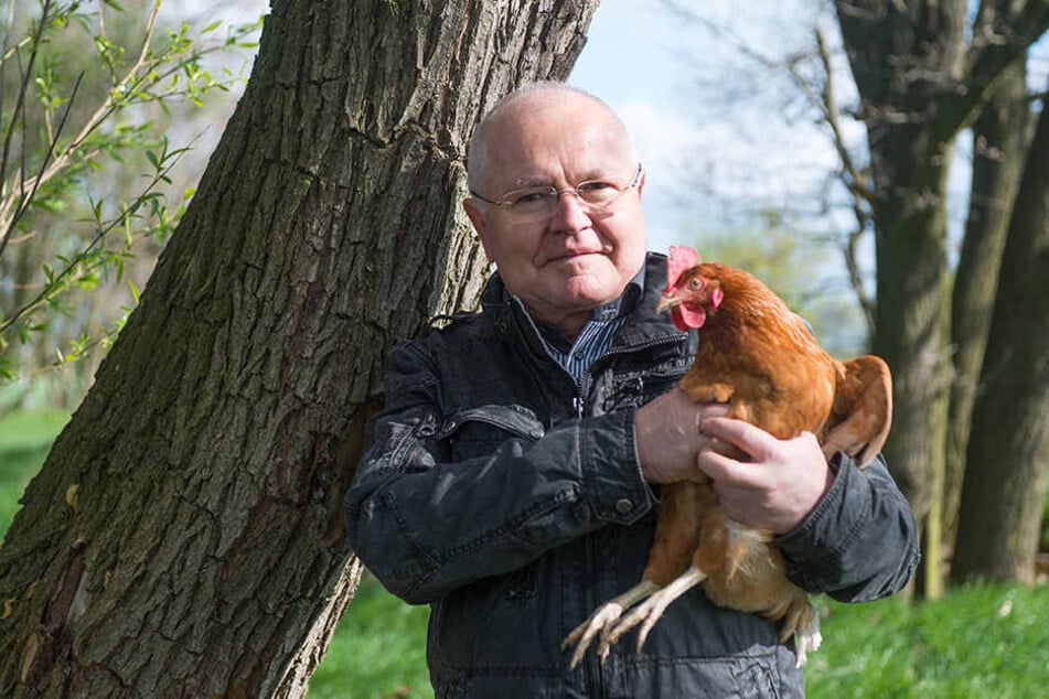 Christian Riedel
(65) mit einem BioHuhn
der Rasse
Novo Gen. „Niemals
Federvieh!“, hatte
sich Riedel als
junger Agrar-Ingenieur
geschworen.