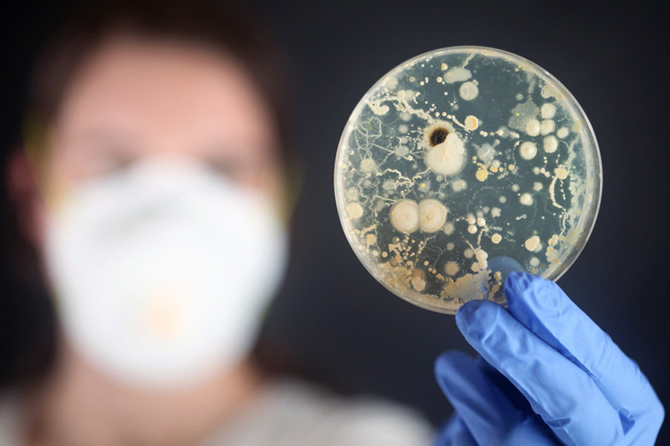 Die Gefahr durch multiresistente Erreger wächst immer mehr.