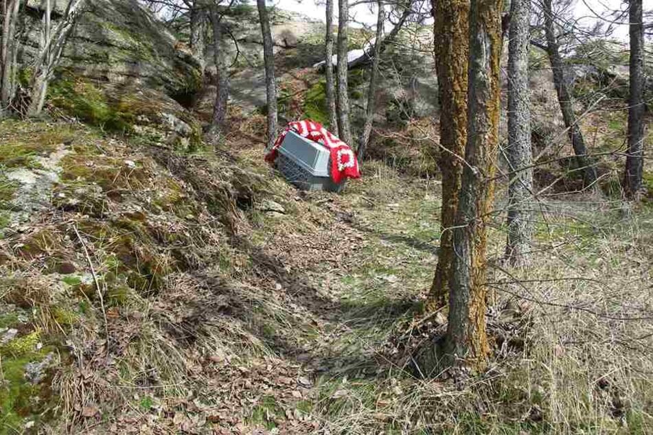 Von Weitem sahen Wanderer die Kiste.