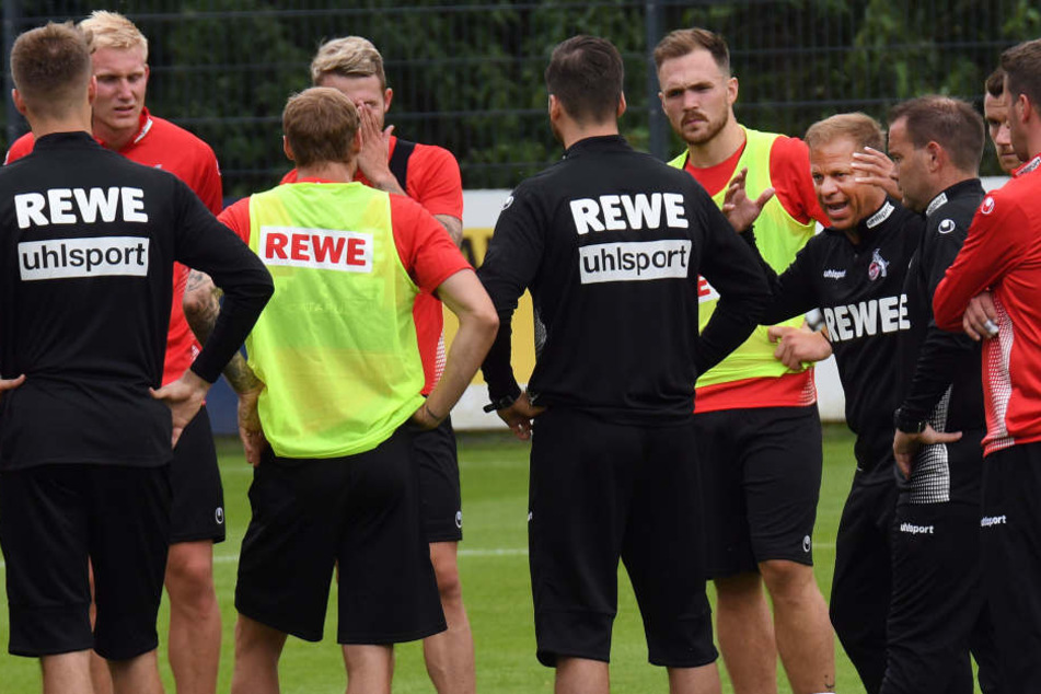 Kölns Trainer Markus Anfang (44) steht für das Projekt Wiederaufstieg ein gut besetzter Kader zur Verfügung.