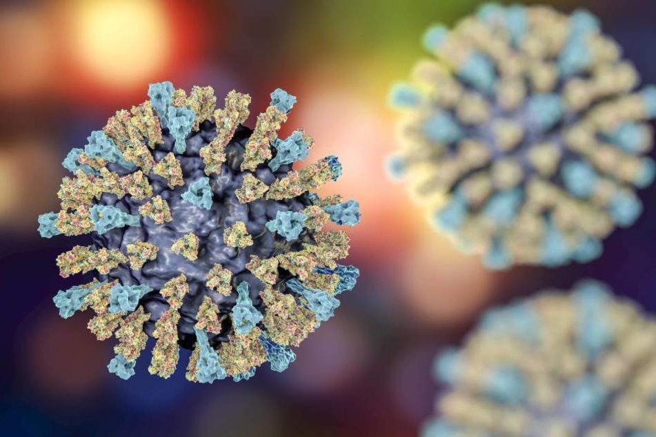 15 Kinder und Erwachsene hatten sich mit dem Masernvirus infiziert.