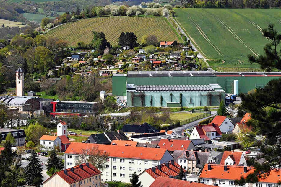 Der Hauptsitz des Unternehmens "Rotkäppchen-Mumm" in Freyburg.