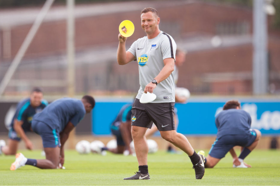 Pal Dardai, Cheftrainer, geht über den Platz.