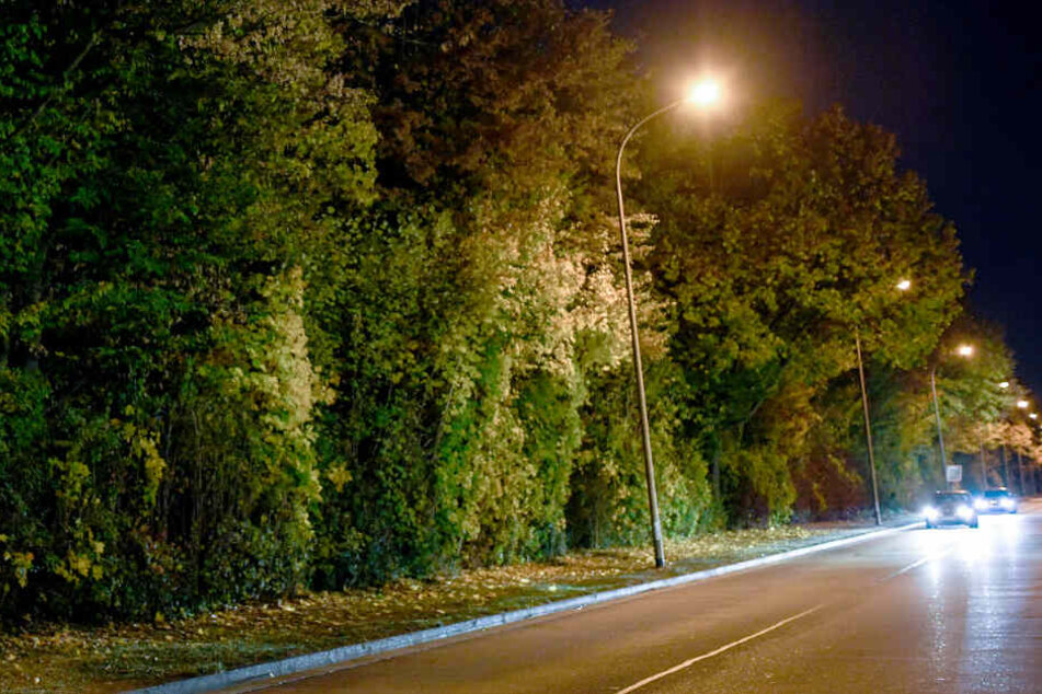 Freiburg: Eine Straße und die angrenzende Grünanlage im Industriegebiet Nord hinter einem Diskothekenareal wird nachts von Straßenlaternen erleuchtet. In der Nähe wurde die 18-Jährige vergewaltigt.