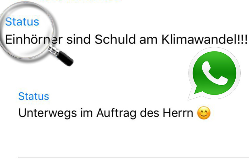 Bald bekommen solche kreativen Statusmeldungen sicher mehr Aufmerksamkeit.