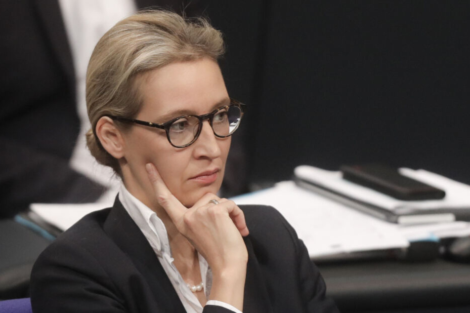 Alice Weidel sollte mit den Spenden im Wahlkampf unterstützt werden.