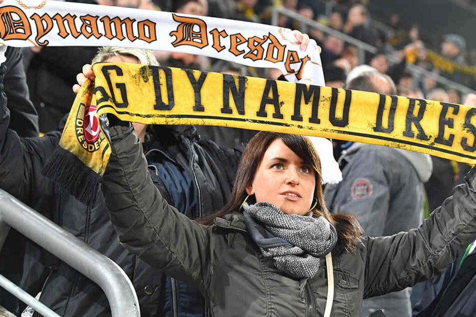 Die Dynamos auf den Tribünen werden heute gutbeschalt hinter ihrer Mannschaft stehen.