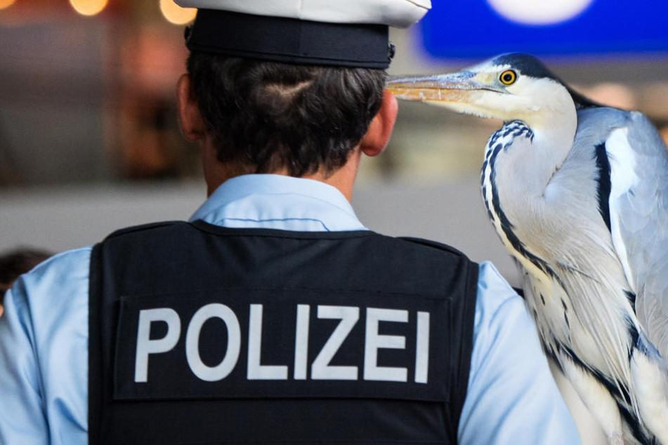 Auge in Auge standen sich Reiher und Gesetzeshüter gegenüber (Symbolbild, Montage).