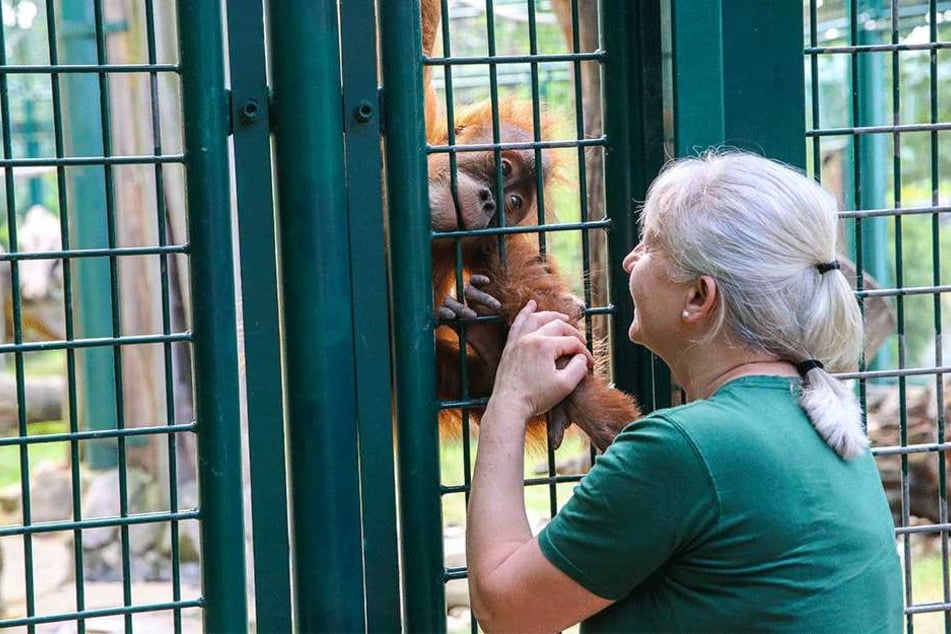 Tierpflegerin Sylvia Pohle (56) mit dem kleinen Dalai (3).